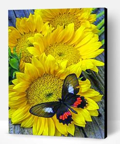 Butterfly And Sunflowers Paint By Number
