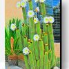 Cactus White Flowers Paint By Number
