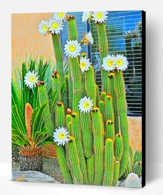 Cactus White Flowers Paint By Number