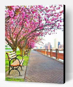 Cherry Blossom NYC Paint By Number