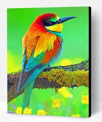 Colorful Bird Paint By Number