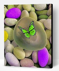 Green Butterfly Paint By Number