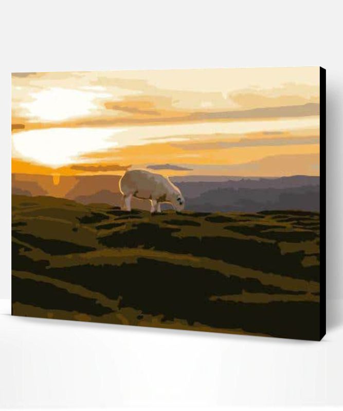 Sunrise on Sheep Paint By Number