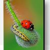 Ladybug Paint By Number