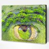 Mother's Nature Eye Paint By Number