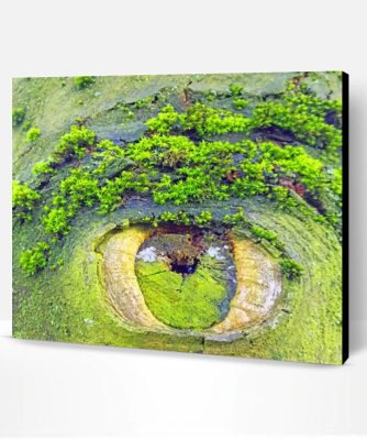 Mother's Nature Eye Paint By Number