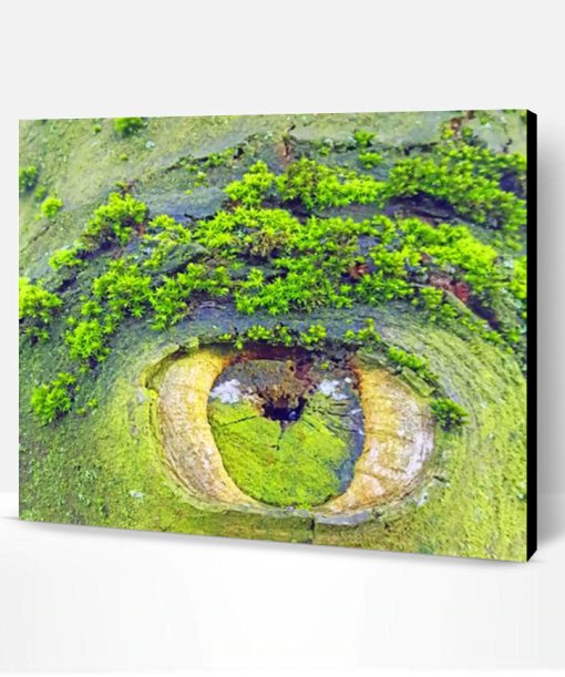 Mother's Nature Eye Paint By Number