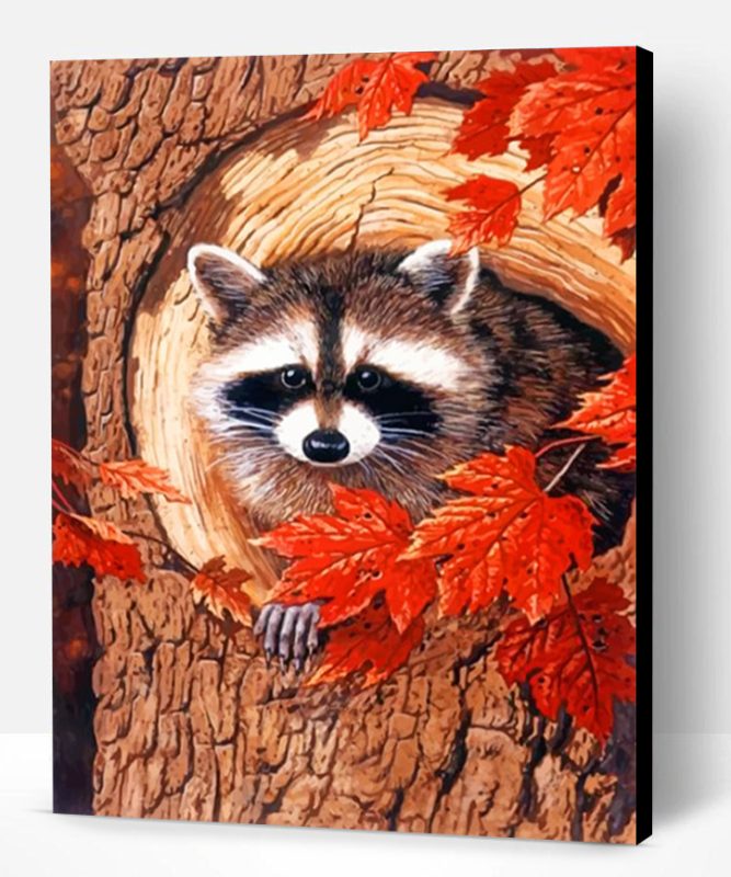 Raccoon In The Fall Paint By Number