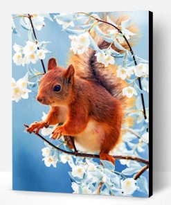 Red Squirrel With Flowers Paint By Number