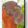 Sleepy Koala Paint By Number