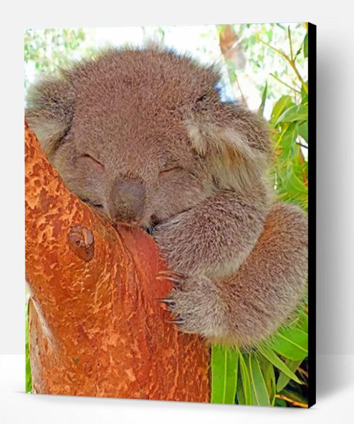 Sleepy Koala Paint By Number