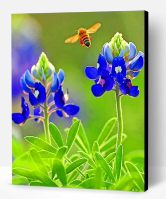 Texas bluebonnet Paint By Number