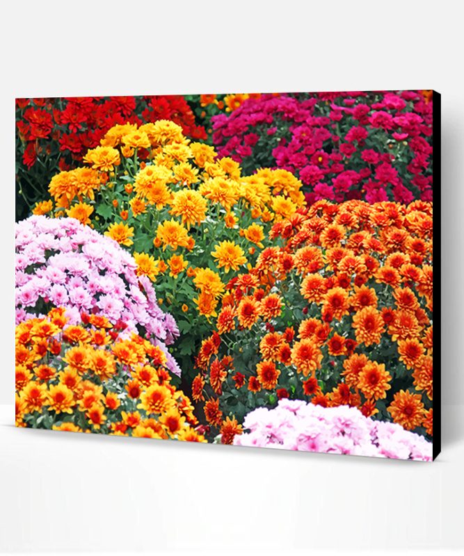 Aesthetic Chrysanthemums Paint By Number