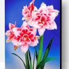 Amaryllis Flower Paint By Number