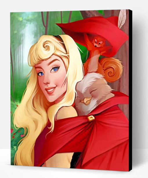 Aurora Disney Art Paint By Number