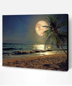 Beach Moonlight Paint By Numbers