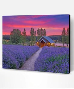Cabin In Lavender Field Paint By Number