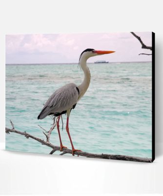 Heron Sea Bird Paint By Number