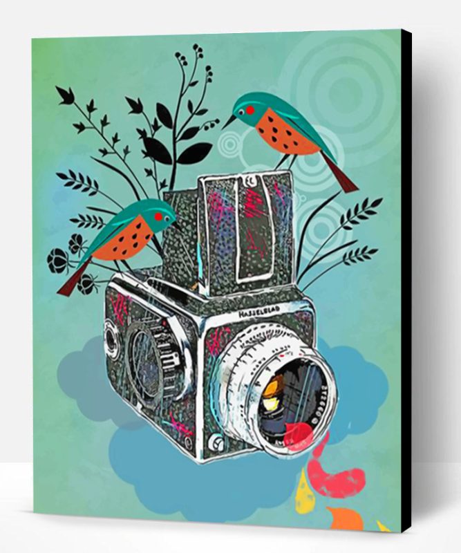 Birds And Camera Illustration Paint By Number