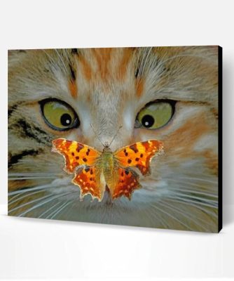 Cat And Butterfly Paint By Number