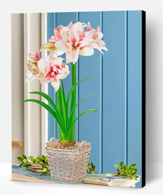 Elvas Amaryllis Pot Paint By Number