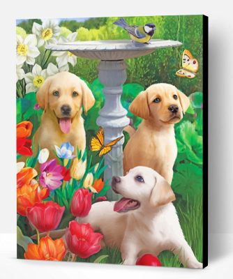 Labradors In Garden Paint By Number