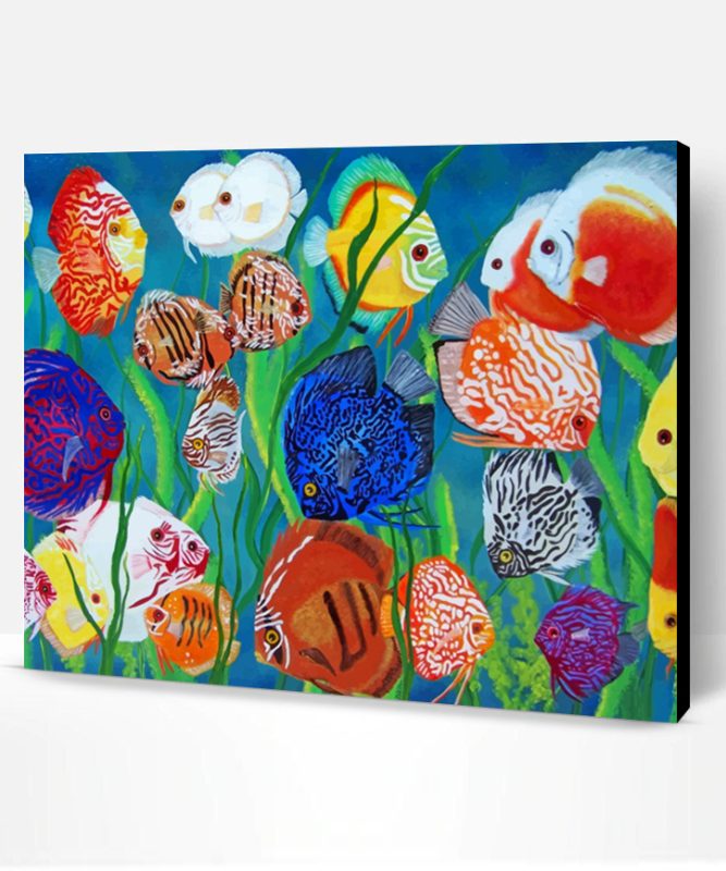 Aquarium Fishes In Sea Paint By Number