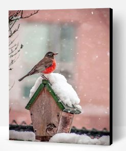 Bird On House In Snow Paint By Number