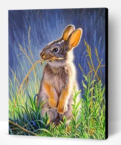 Bunny Rabbit Paint By Number