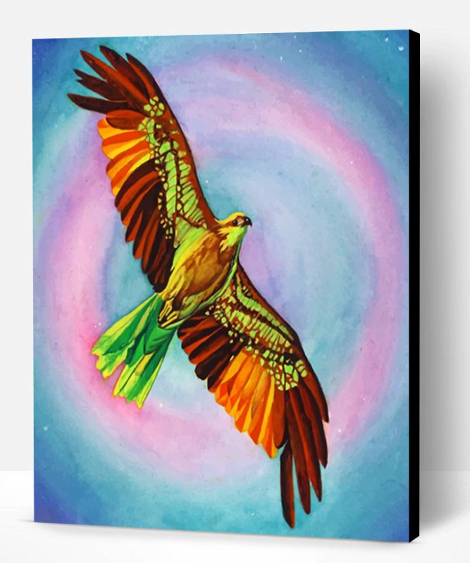 Colorful Hawk Bird Paint By Number