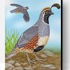 Gambel’s Quail Paint By Number
