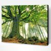 Green Forest Tree Paint By Number
