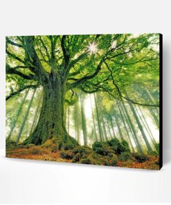 Green Forest Tree Paint By Number