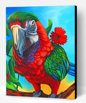 Macaw Bird Paint By Number