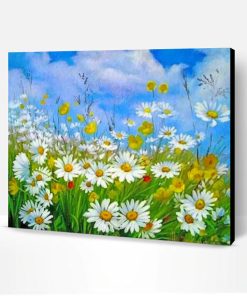 Aesthetic Daisy Field Paint By Number
