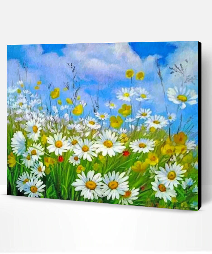 Aesthetic Daisy Field - Paint By Number - Paint By Numbers PRO