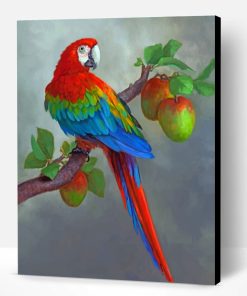 Apples And Parrot Paint By Number