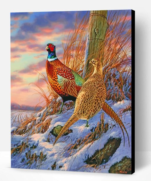 Ring Necked Pheasant Paint By Number