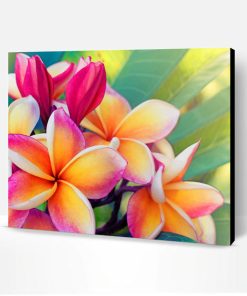 Frangipani Flower Paint By Number