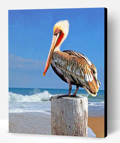 Pelican Bird Paint By Number