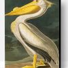 Aesthetic White Pelican Paint By Number