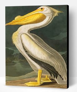 Aesthetic White Pelican Paint By Number