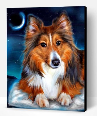 Sheltie Dog Paint By Number