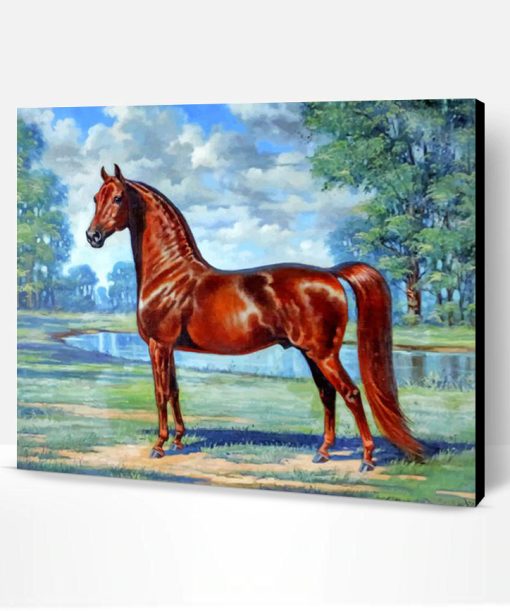 Brown Horse Paint By Number