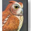 Eastern Screech Owl Paint By Number