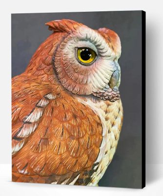 Eastern Screech Owl Paint By Number