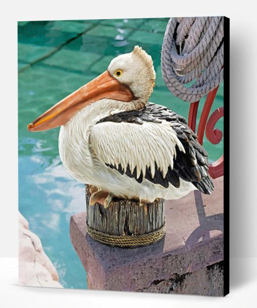 Great White Pelican Paint By Number