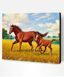 Horses In Meadow Paint By Number