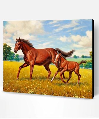 Horses In Meadow Paint By Number