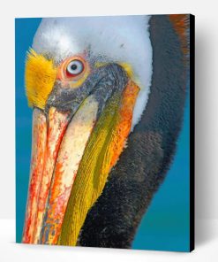 Pelican Bird Paint By Number